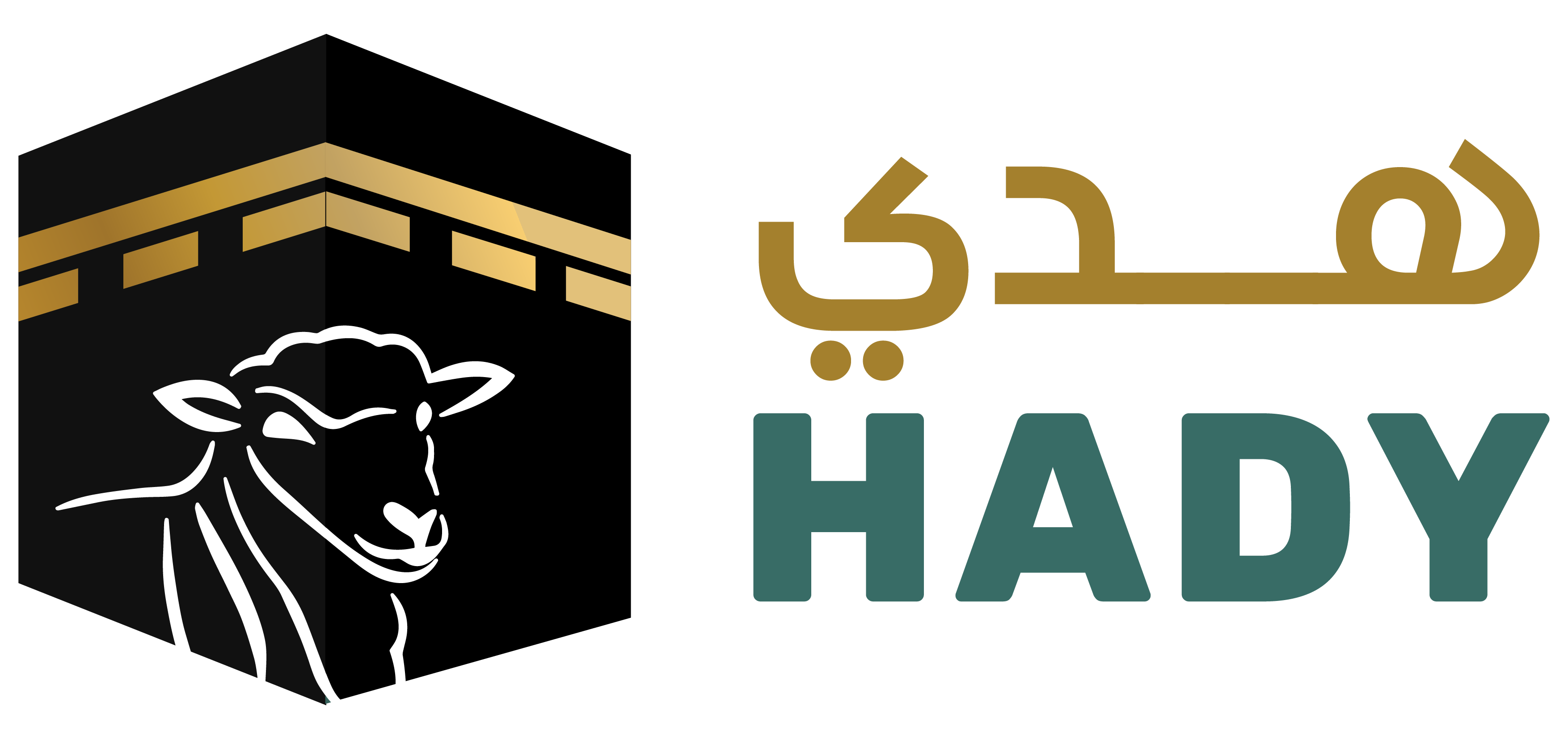 Hady